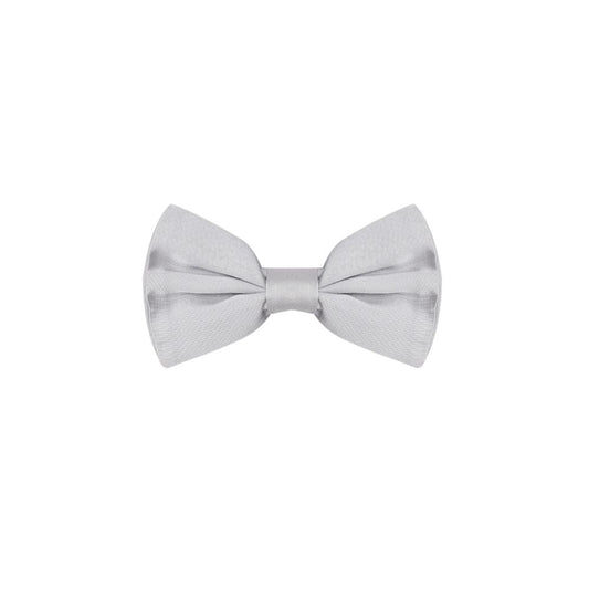 Dolce & Gabbana Silver Silk Ties & Bowty